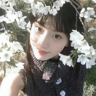 飞马俏姑娘